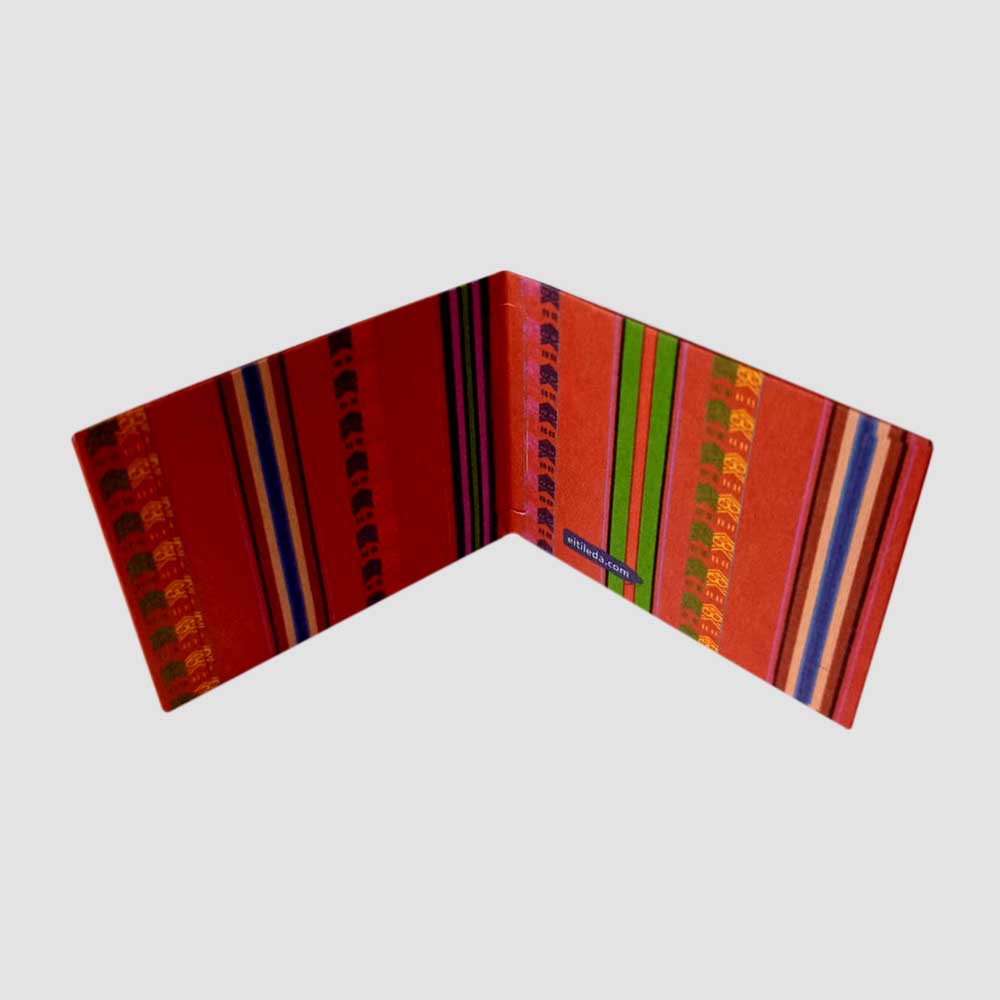 Andina - Imagen 3
